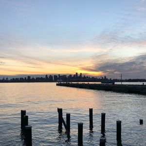 Meet your Posher, Dora